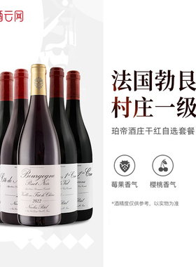 酒云网 法国勃艮第Nicolas Potel珀帝村庄一级园黑皮诺干红葡萄酒