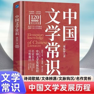 中国文学常识一本书讲透中国文学发展历程120余副配图探寻千年文学 韵味中华传统古代文化常识百科大全 源流领略中国文学