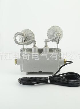 爆双头灯IP6消防36946道隧道用防爆双防头应急灯疏6散指示通灯