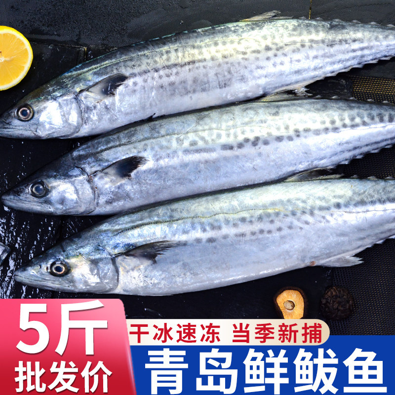 青岛鲅鱼新鲜冷冻鲐鲅鱼马鲛鱼整条冷冻大青花鱼马友鱼马交鱼海鲜_虎窝淘