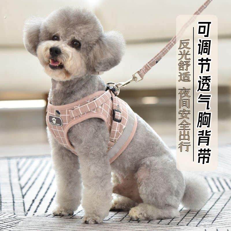 巨型贵宾犬巨贵犬专用牵引绳狗狗胸背带泰迪脖圈狗链子遛狗用品