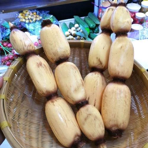 手感软仿真莲藕模型假蔬菜塑胶莲藕家居装饰商场摆设PU莲藕片道具