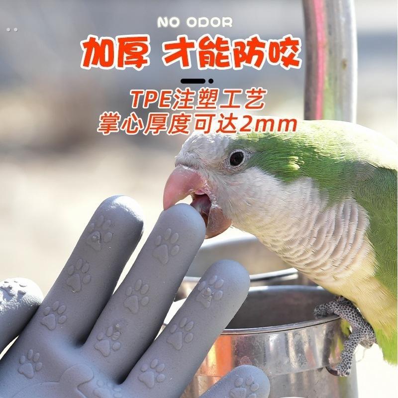 防咬手套赶海儿童抓螃蟹防夹防刺水户外宠物鹦鹉仓鼠劳动园艺防护