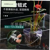 水培植物篮鱼缸家用水草种植杯壁挂式 挺K水植物定植篮鱼缸造景装