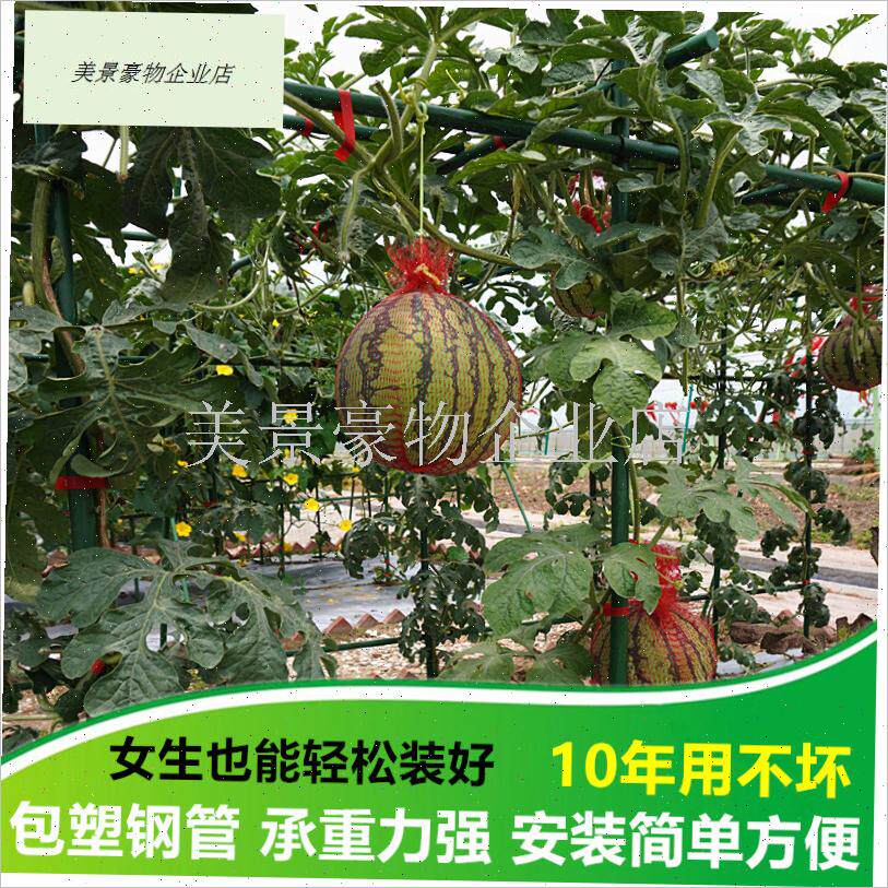 长方形葡萄架子包l塑钢管百香果爬藤支L架豆角黄瓜庭院园艺支撑.