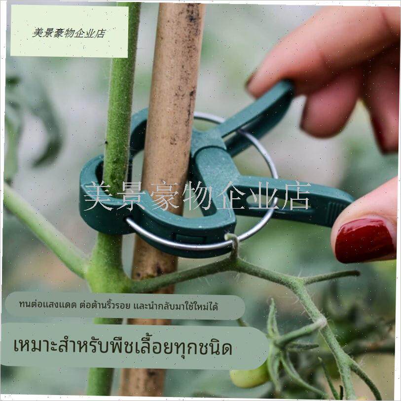 爬藤植物固定夹绿色o卡扣大号藤蔓蔬菜番茄花卉瓜W果枝条固定夹.