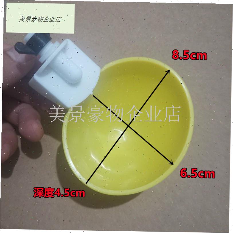 大号自动饮水器鸡鸭鹅饮水碗鸽子鹌鹑喂喝水碗S家禽鸡用自动饮水.