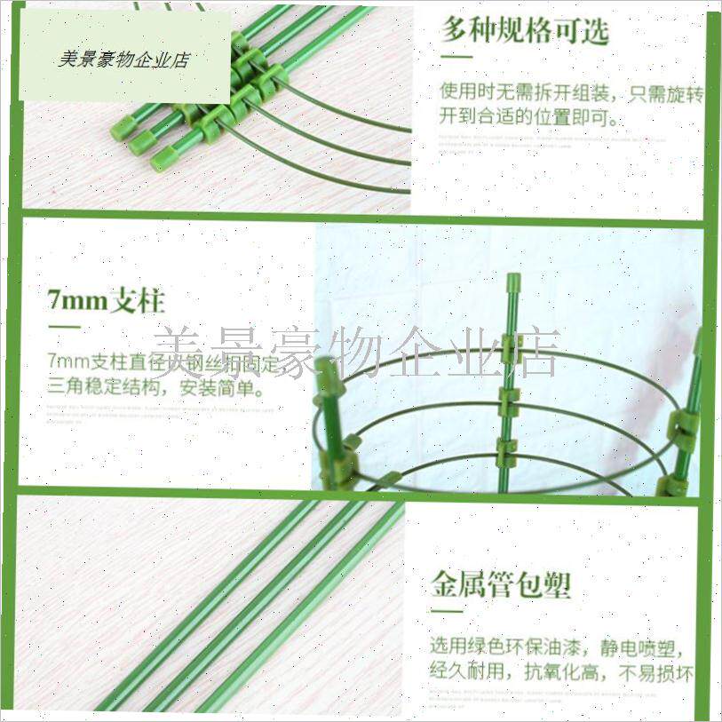 文竹支撑架爬藤架子月季花架室内花卉植物支撑SV杆绿萝铁线莲攀.