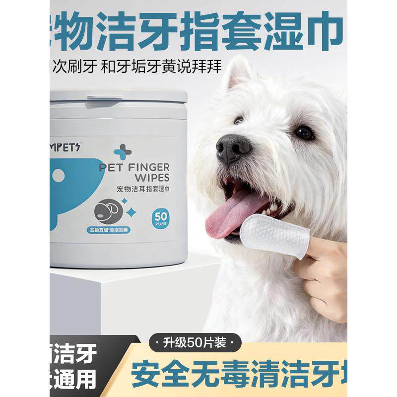指套宠物洁牙指套湿巾猫狗通用耳垢耳螨洁牙宠物用品50片桶装