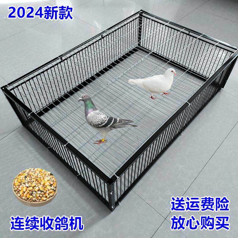 新款天落笼黑色加密鸽子难出自动撞门笼户外收鸽子笼鸽子回收神器