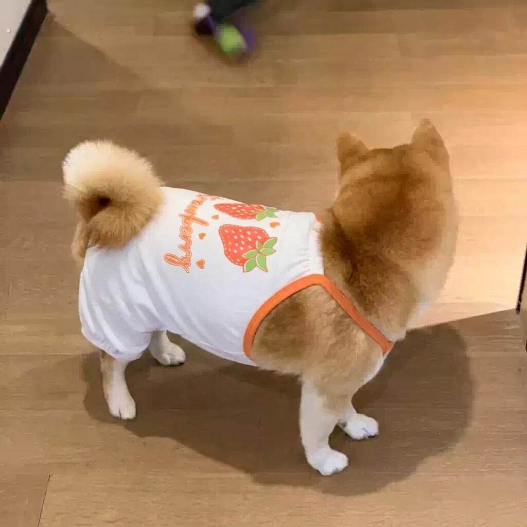 狗狗衣服柴犬柯基免着凉空调服吊带抱婴袋裤连身衣猫咪睡衣家居服