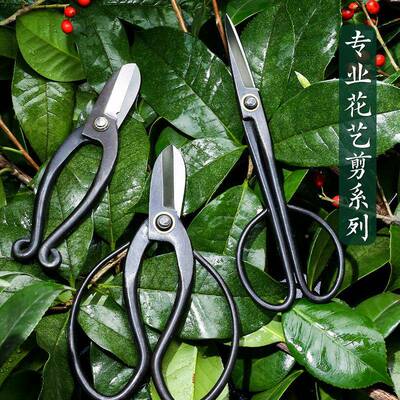 插花花专业花艺剪刀道园林园RIV艺工具池坊日式剪修剪枝剪小枝剪