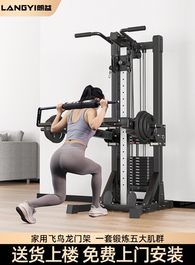 朗益_高位下拉龙门架家用健身器材多功能一体小型飞鸟综合训练器