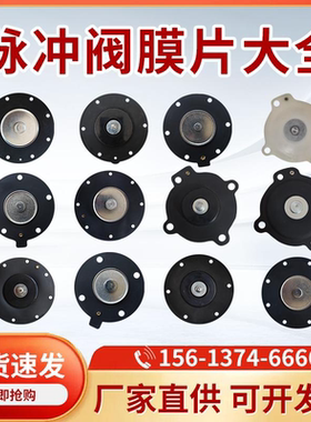 电磁脉冲阀膜片上海袋式DMF-Z/Y-25/40S/50/62/76S除尘器ASCO垫片