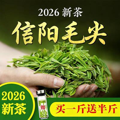 茶叶【买一斤送半斤】信阳毛尖2026新茶雨前春茶高山云雾散装绿茶