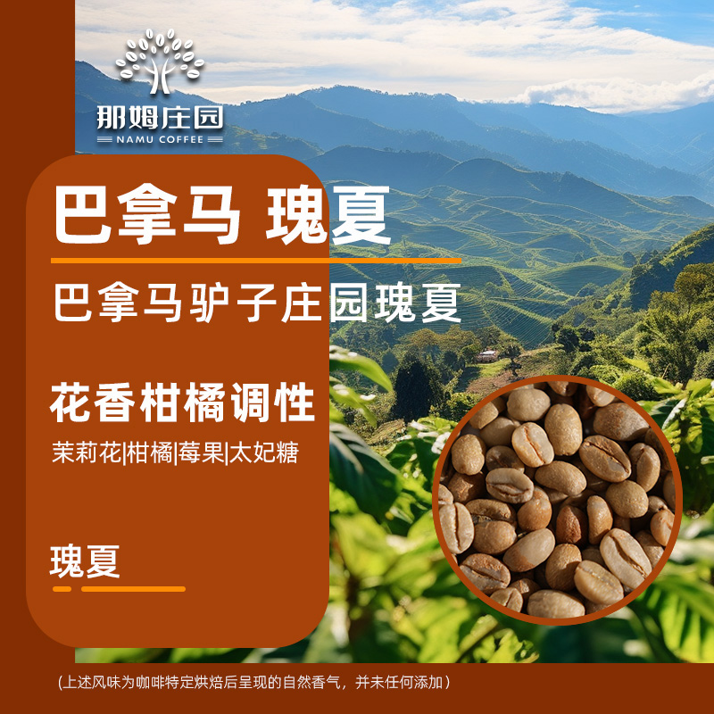 新产季巴拿马厌氧瑰夏咖啡生豆