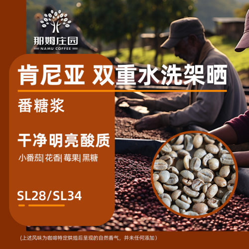 新产季肯尼亚尼涅里AA咖啡生豆