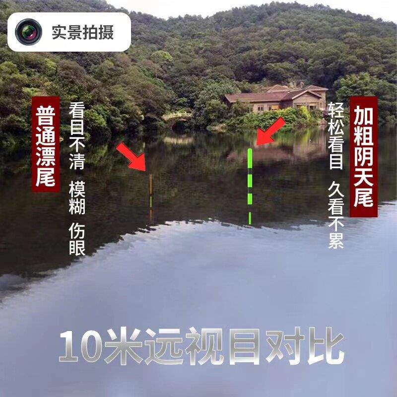 鳙日夜用两夜光漂咬钩MQ-A106变色三目加粗醒电子目漂夜钓鱼漂鲫