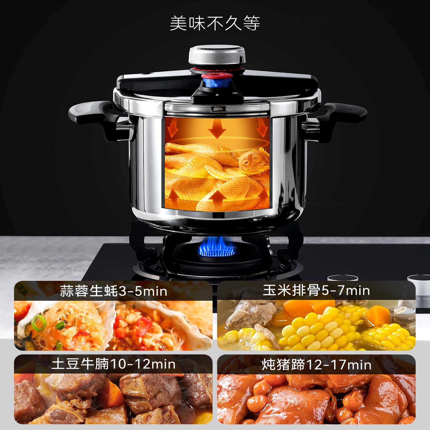 德国FZY高压锅型家用小30爆4不锈钢燃气灶电11磁炉通新款防用压力