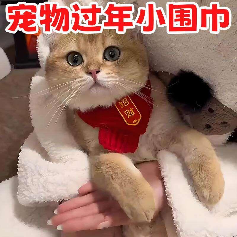 猫咪新年围巾憨宠物围脖红色保暖贝中国风口水巾围兜豆狗狗装饰品