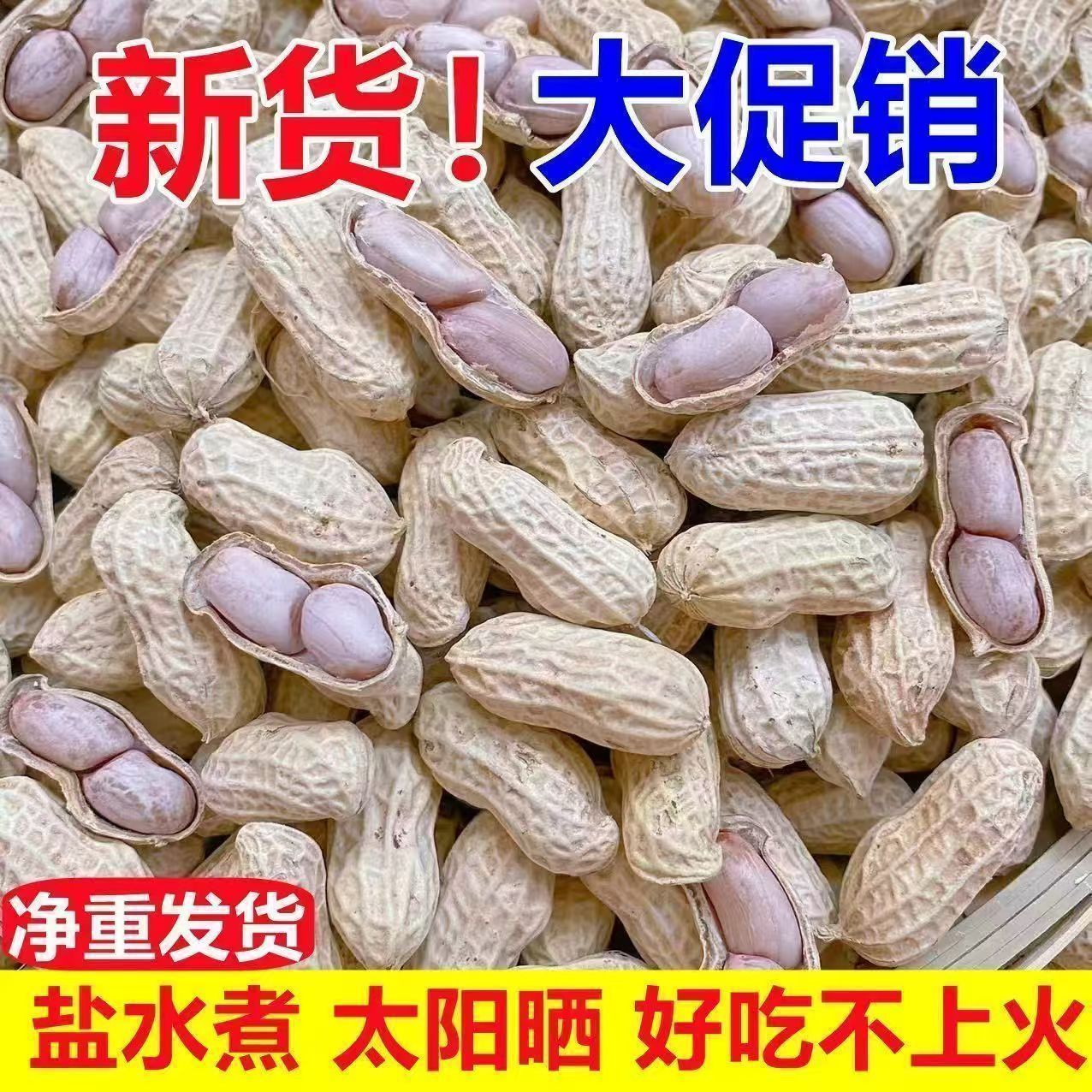 25年新龙岩花生蒜香咸干五香盐水白晒湿烤水煮带壳炒货零食熟