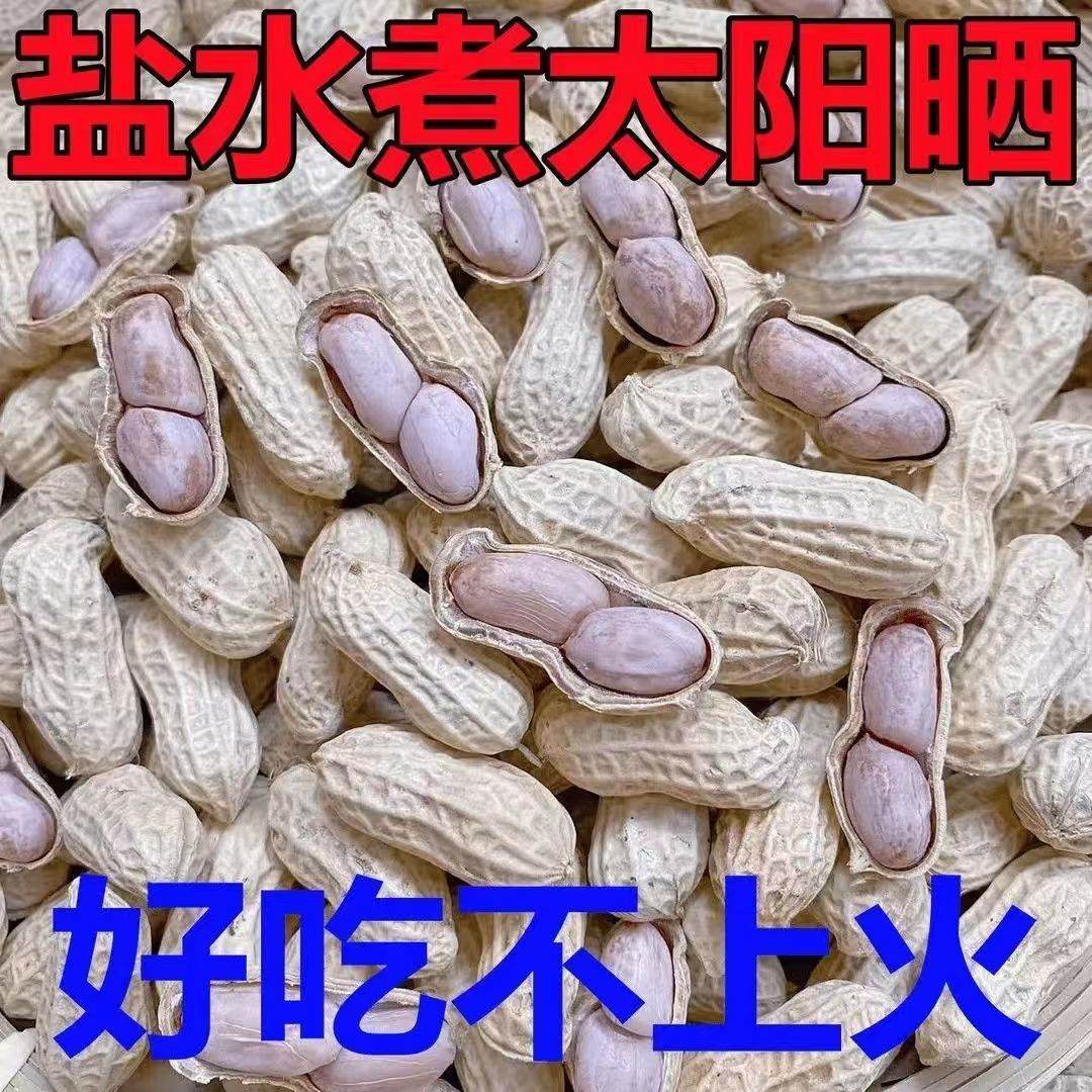 新货龙岩特产水煮白晒咸干湿烤带壳花生蒜香五香咸干原味花生米