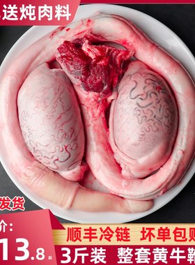 整套黄牛牛鞭宝一鞭两蛋清真