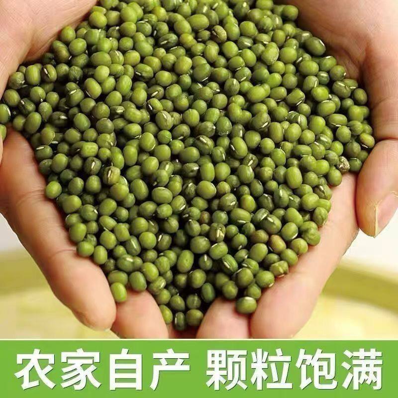 【新货上市】薄皮绿豆东北新豆夏季绿豆粥新绿豆散装批发