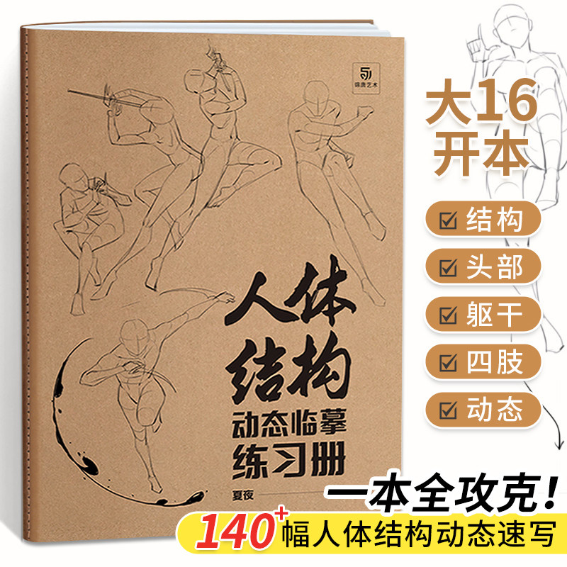 理解形态艺用解剖绘画速写伯里曼人物头像造型手绘基础原理技法教学