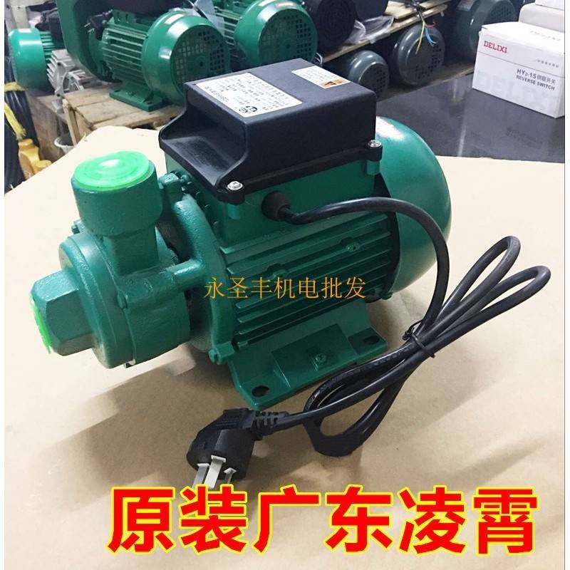 广东凌霄1DB35 1DB45 1DB65 -B清水泵330W 家用抽水机550W 750W