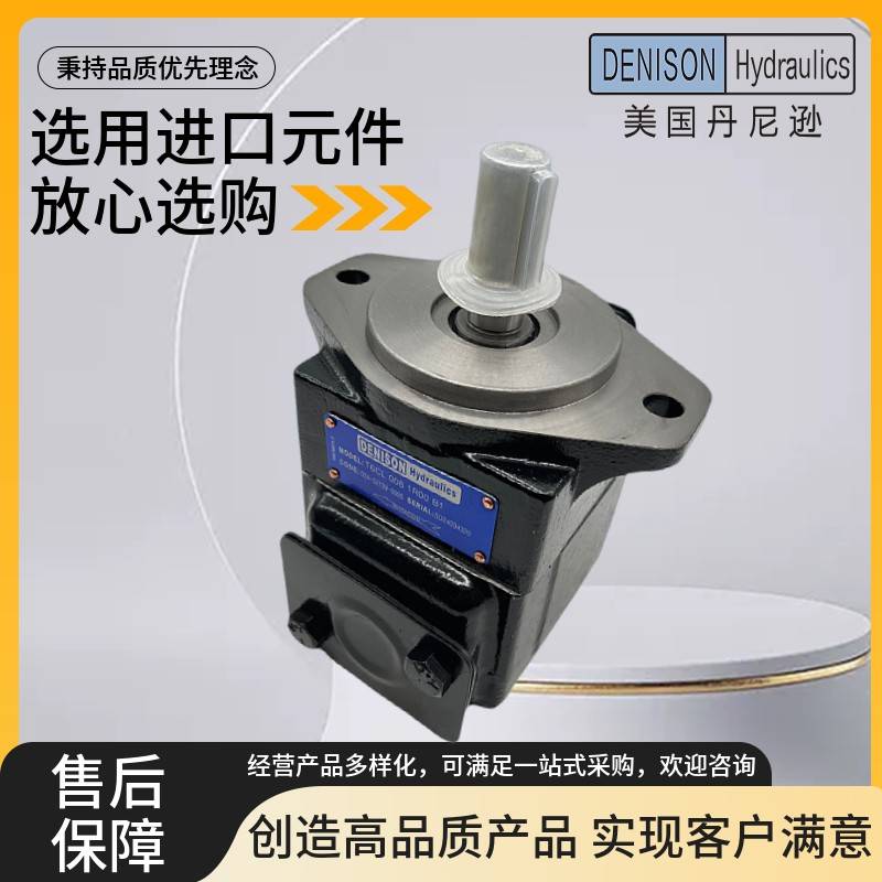 DENISON丹尼逊T6C-005/006/008/014/017/022-1R00/1/2/3-B1/A1/C1