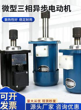 微型三相异步电动机Yt1推电机Ydt80-2 80W Ydt140-2 Asf82A120W