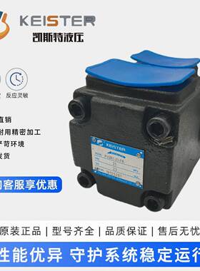 凯斯特KEISTER折弯机油泵PV2R1-12/14/17/19/23/25FR注塑机叶片泵