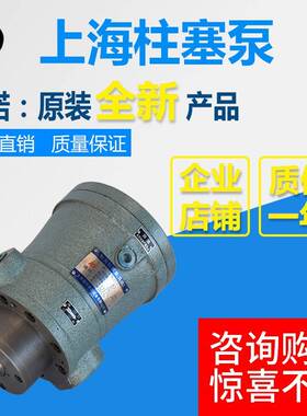 2.5MCM 5MCM 100MCM 108MCM 160MCM 250MCM14-1B轴向柱塞泵马达