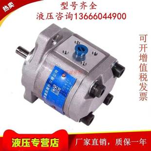 F320 ALP AFP 合肥长源齿轮泵CBW CFPL F316 CLP 液压泵HCHC F314