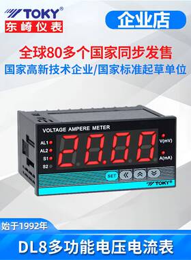 TOKY东崎电压表DL8-IAACT DL8-RC18 V600电流DL8-IV200 RC10AACT