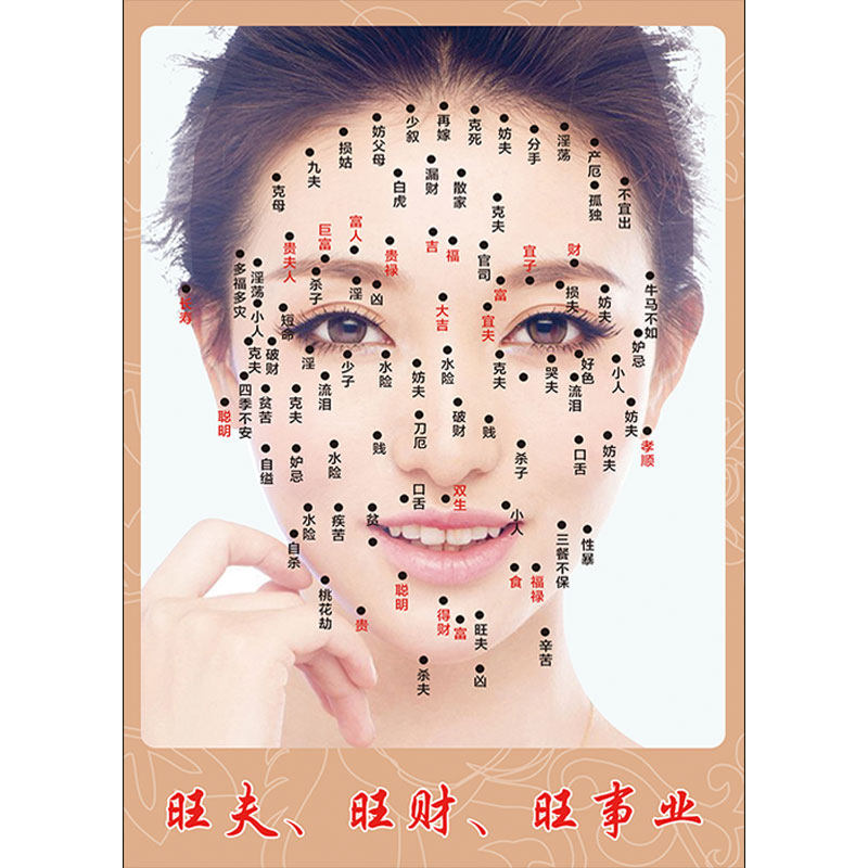 高档图点痣图片男女面痣图美容宣传c画全身面部挂新部报脸海运ins