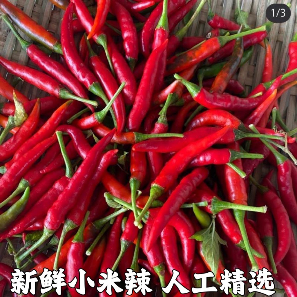 新鲜小米辣椒农家自种红辣椒指朝天椒蔬菜泡椒特辣小米椒鲜辣包邮