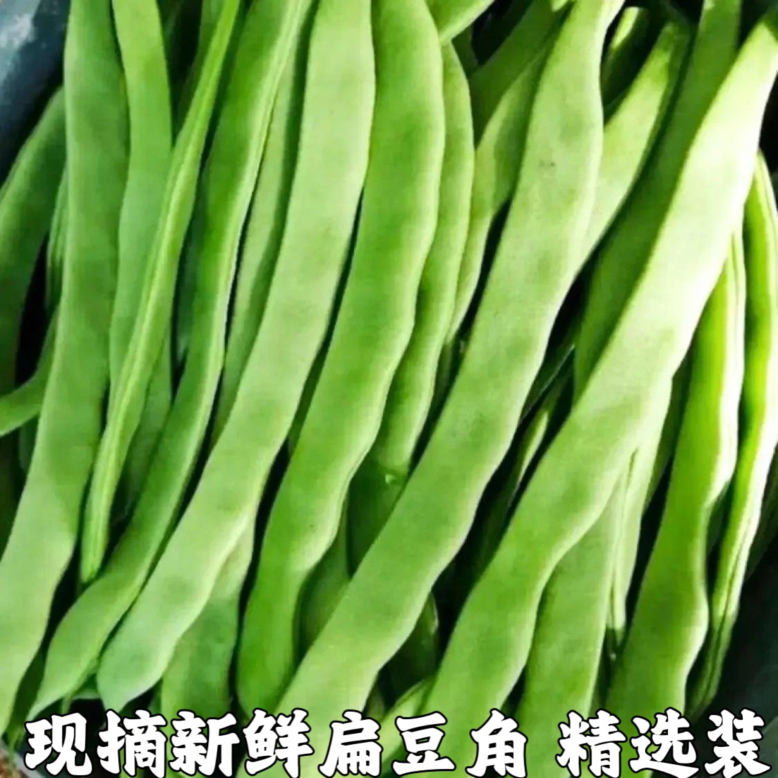 扁豆角新鲜扁芸豆豆角四季豆刀豆新鲜蔬菜湖北农家种植现摘包邮