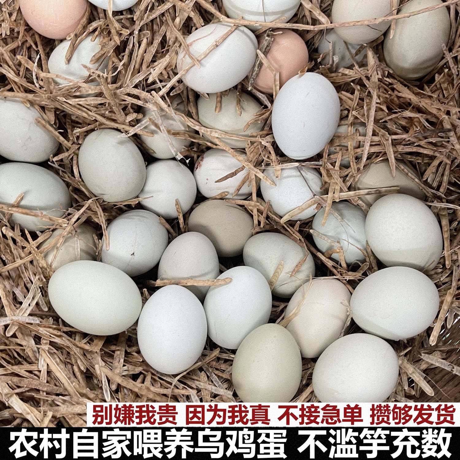 土鸡蛋乌鸡蛋30枚正宗新鲜