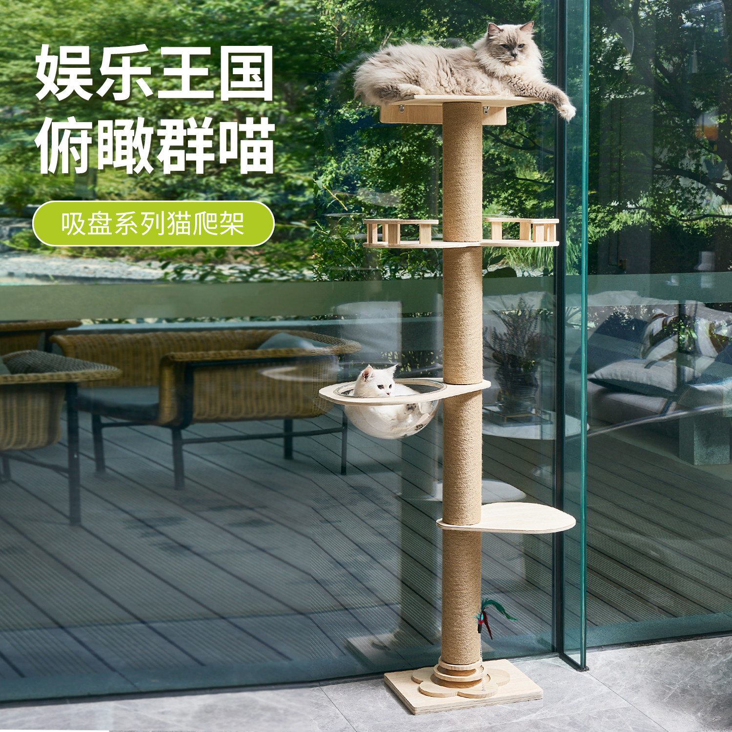 通天柱猫爬架顶天立地不占地猫抓柱猫窝猫树一体太空舱跳台猫玩具,宠物/宠物食品及用品,猫爬架,淘宝优惠券,粉丝福利购,淘宝优惠卷
