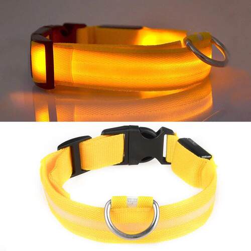LED Dog Collar Rechargeable Glowing Light Anti-lost Collar f