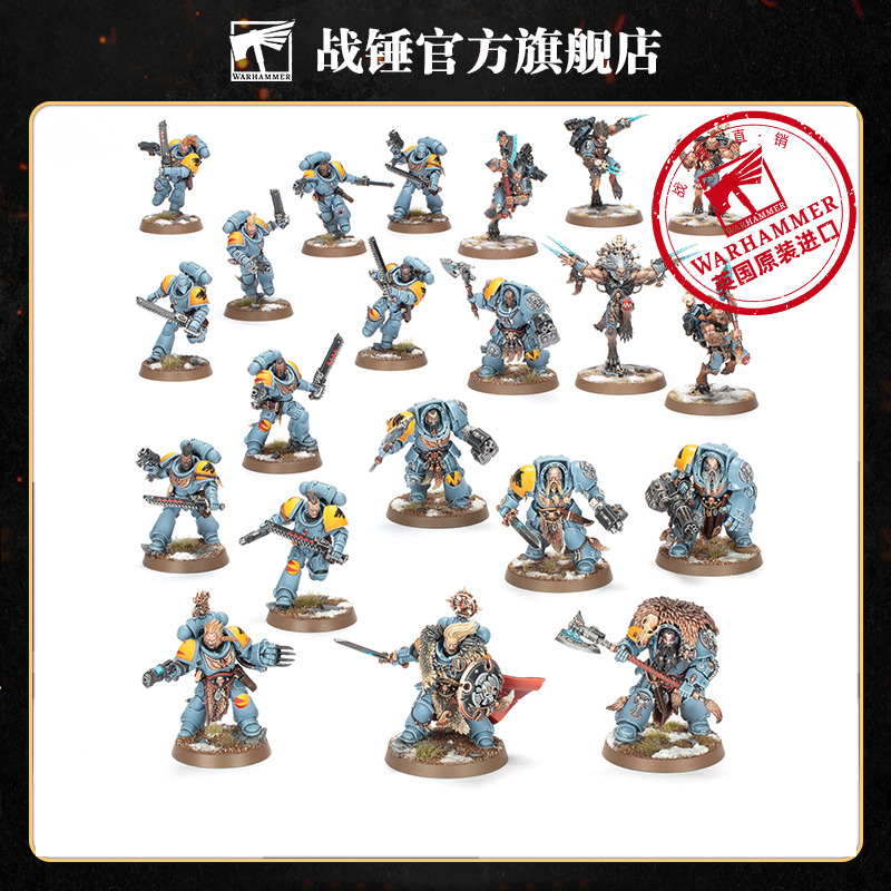 战斗巡逻队：太空野狼Combat Patrol: Space Wolves