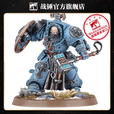 战锤40K太空野狼：阿贾克·洛克菲斯特 史诗英雄 帝国 终结者