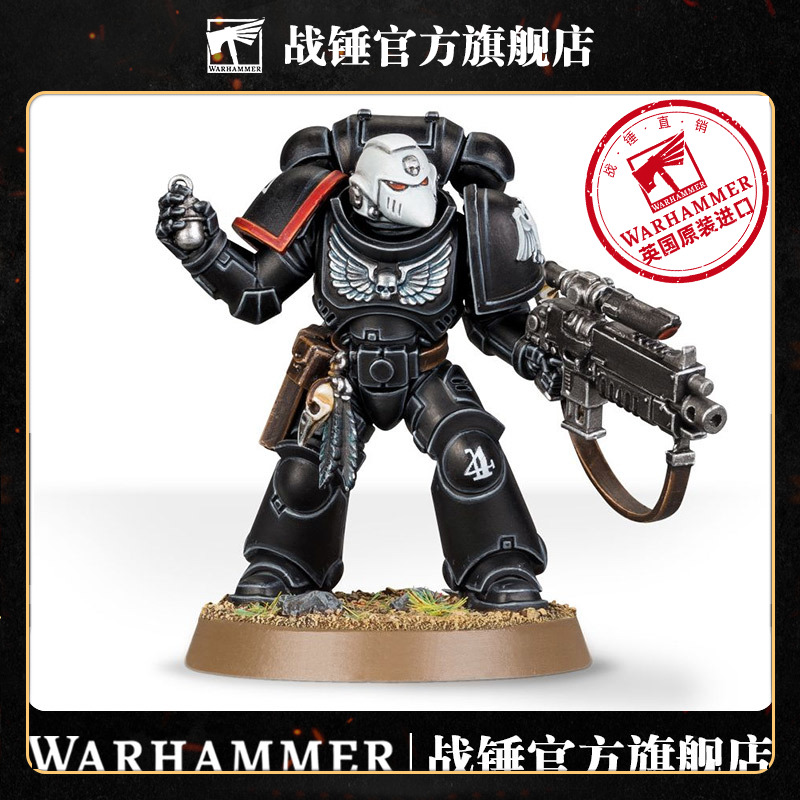 暗鸦守卫原铸改件和水贴RAVEN GUARD PRIMARIS UPGRADES&TRANSFRS