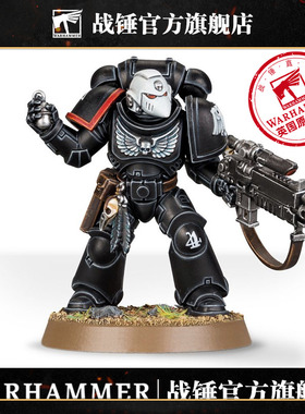 暗鸦守卫原铸改件和水贴RAVEN GUARD PRIMARIS UPGRADES&TRANSFRS