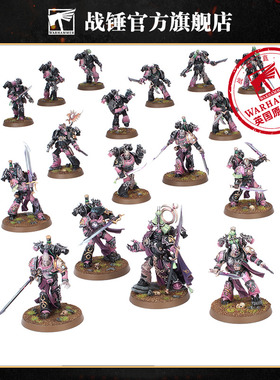 战斗巡逻队：帝皇之子Combat Patrol: Emperor's Children