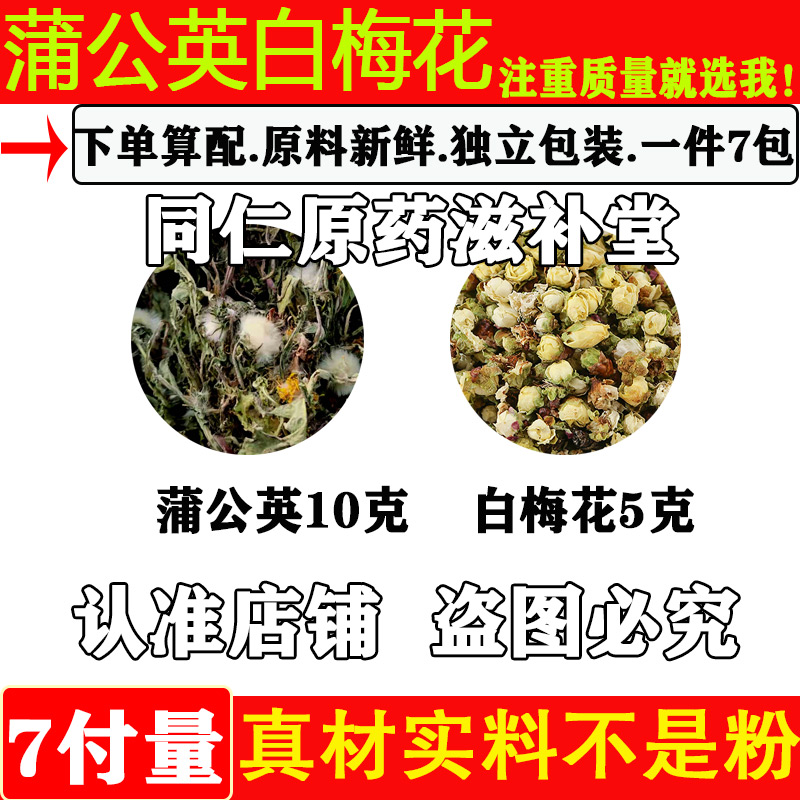 蒲公英白梅花煮鸡蛋中药材正品白梅花5克蒲公英10克组合绿萼梅煮