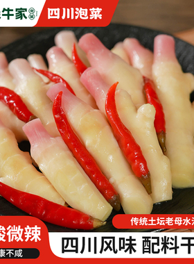 森牛家四川泡菜正宗土坛泡新鲜嫩仔姜农家自制老母水腌制生姜450g