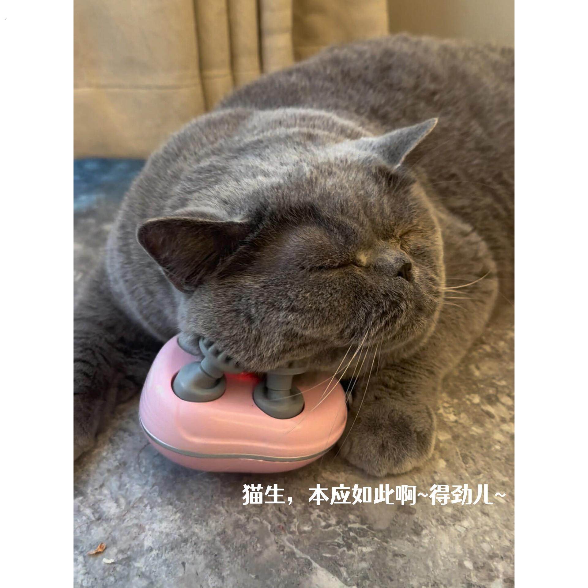 猫咪按摩器宠物电动自动按摩仪猫猫头部下巴挠痒痒按摩撸猫狗神器